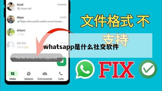 whatsapp是什么社交软件